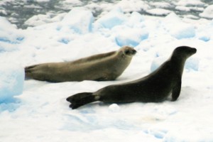 Klik hier voor meer...